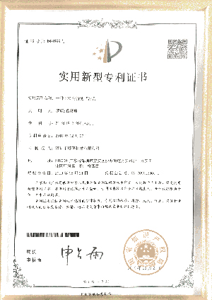 专利3